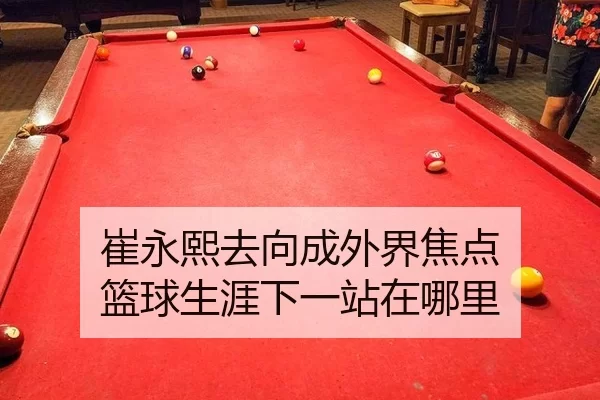 崔永熙去向成外界焦点 篮球生涯下一站在哪里